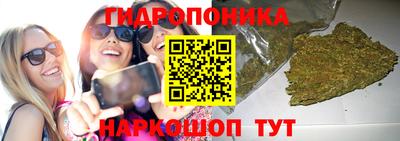apvp Ижевск